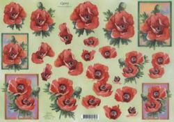 Mohn - Quincy E0120